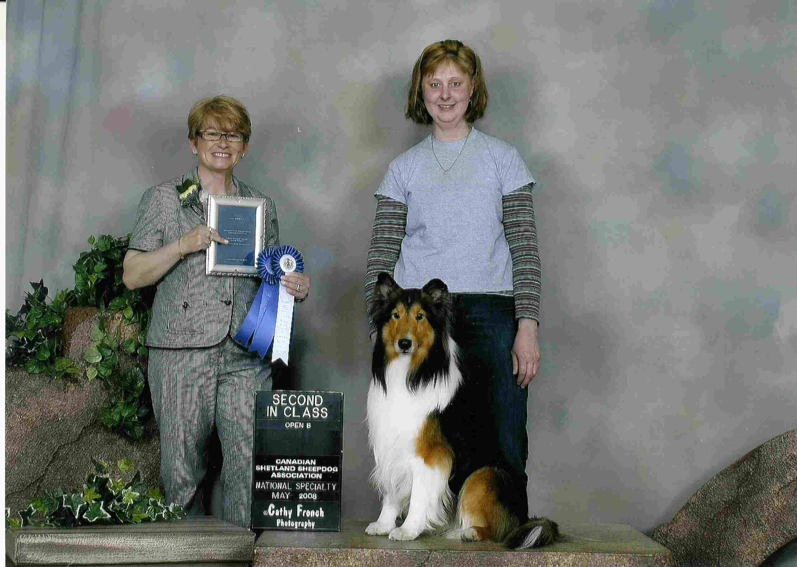 Zesta Shelties